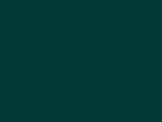 Blue Green RAL 6004 Blue Green RAL 6004