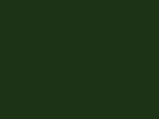 Chrome Green RAL 6020 Chrome Green RAL 6020