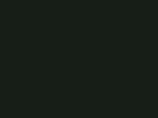 Fir Green RAL 6009 Fir Green RAL 6009