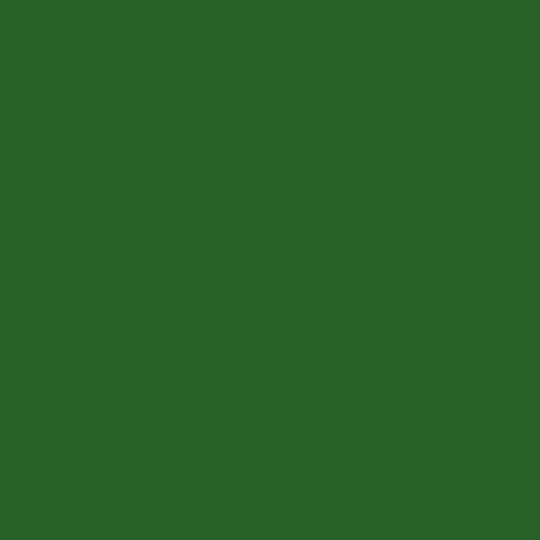 Grass Green RAL 6010