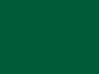 Patina Green RAL 6000 Patina Green RAL 6000
