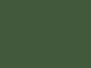 Reseda Green RAL 6011 Reseda Green RAL 6011