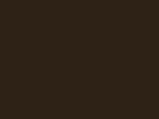 Terra Brown RAL 8028 Terra Brown RAL 8028