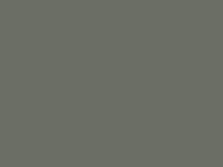 Mouse Grey RAL 7005m